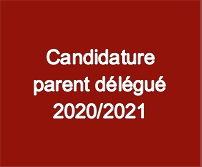Candidature parent Délégué 2020 - 2021 - pour appeanet